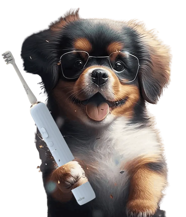 pies ze szczoteczką