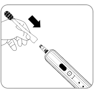 rozpocznij od główki